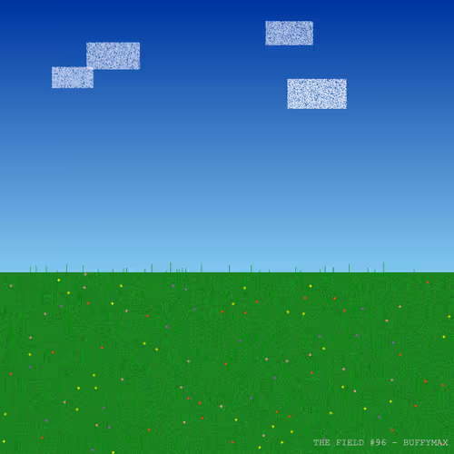 The Field