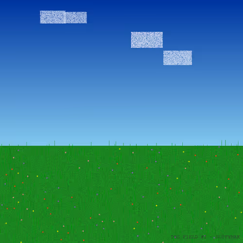 The Field