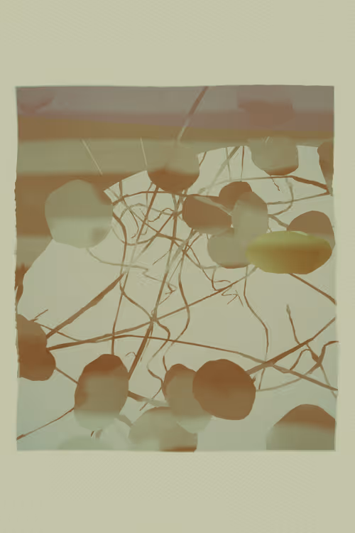 Item #2217797508 Media