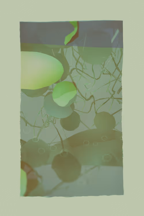 Item #1684013513 Media