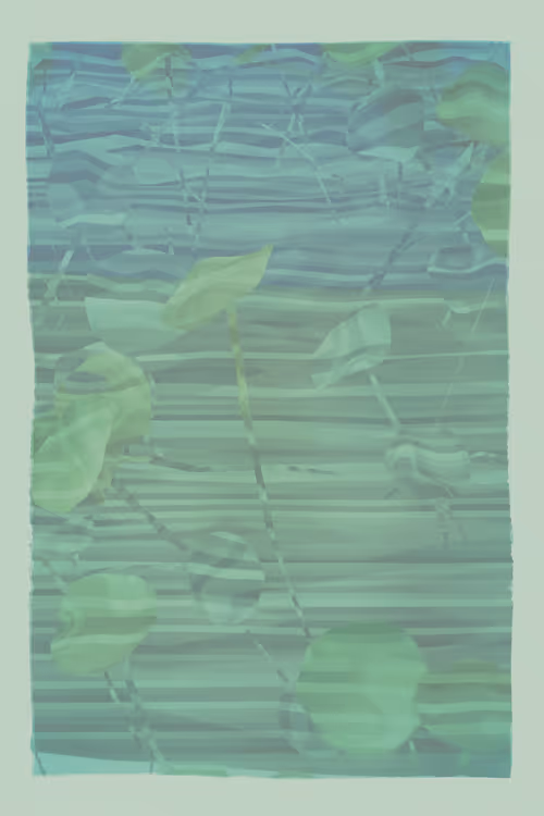 Item #3699612108 Media