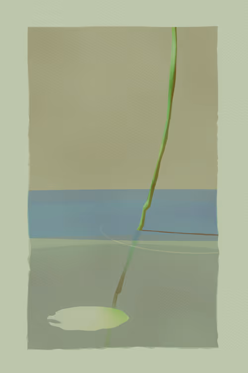 Item #195367033 Media