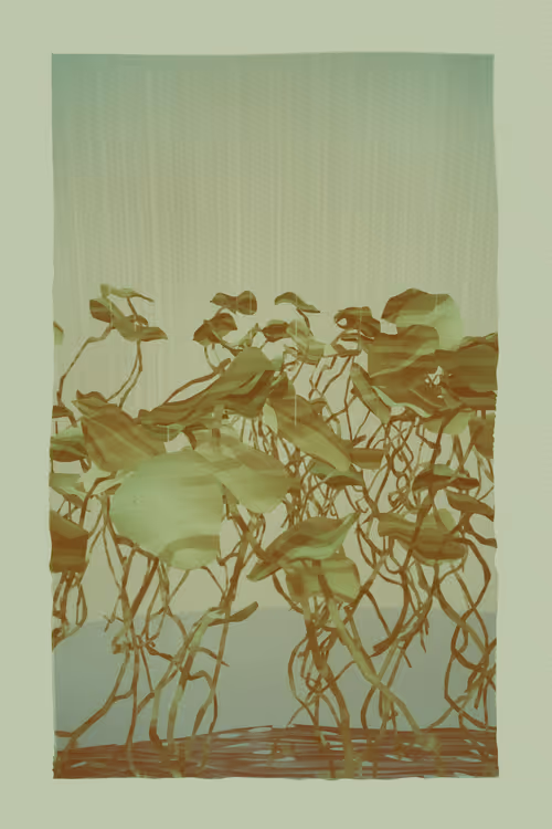 Item #2464631944 Media