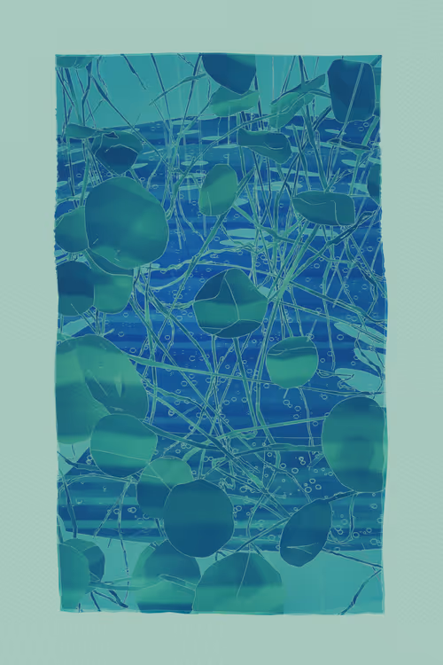 Item #1989785862 Media