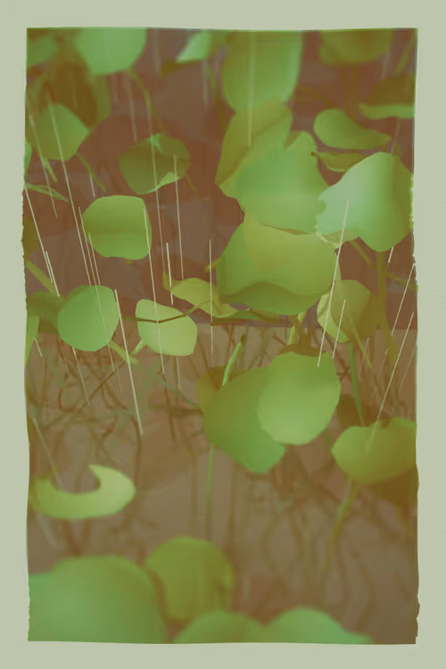 Item #2089551084 Media