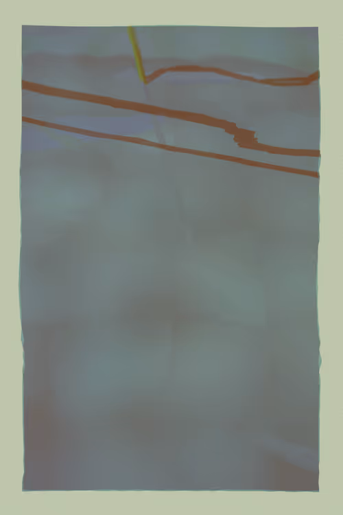 Item #2702368250 Media