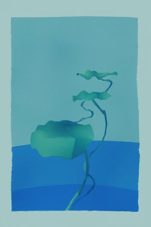 Item #458447421 Media