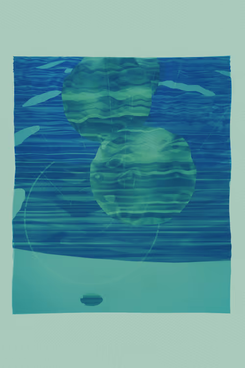 Item #1308808277 Media