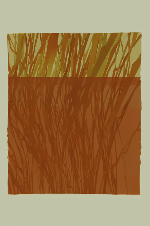 Item #3688314086 Media