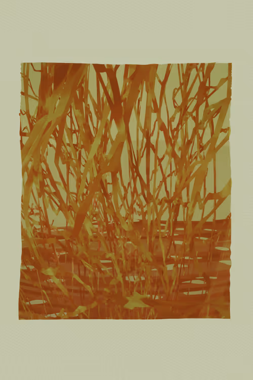 Item #3825019128 Media