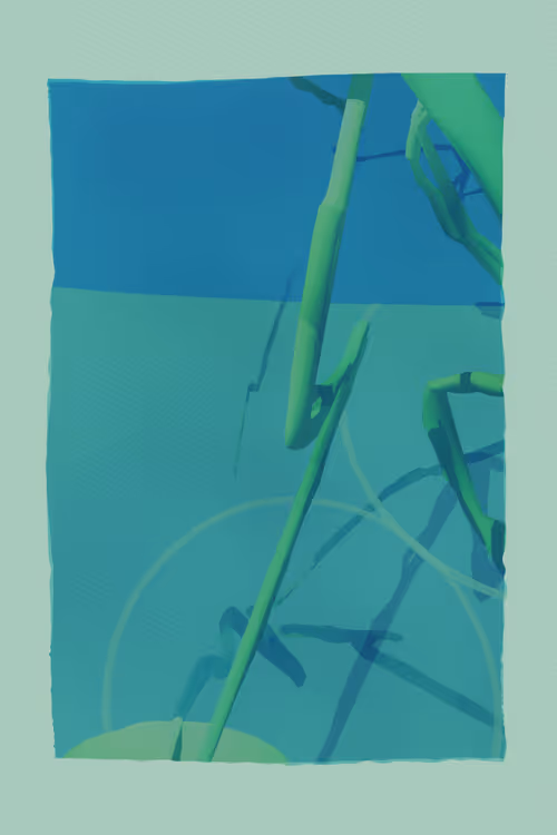 Item #2709596607 Media