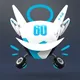 60