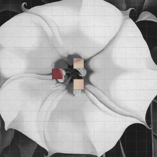 Bouquets and Bombshells