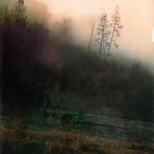 Your Land By Michael Neff