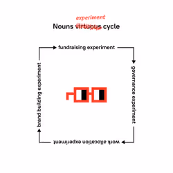 Nouns experiment cycle 44