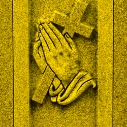 29