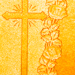 55