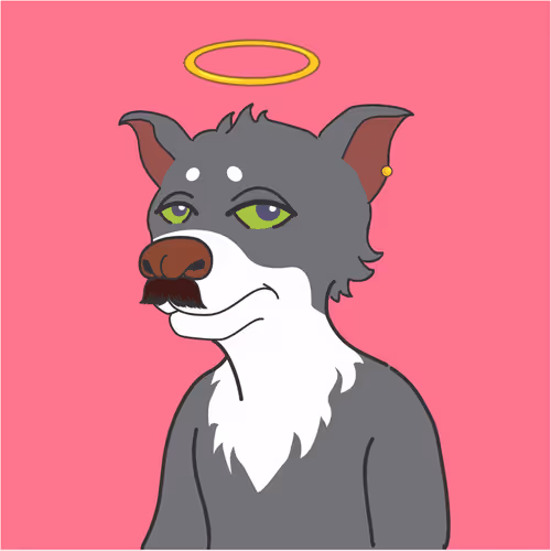 Soccerdogeclub