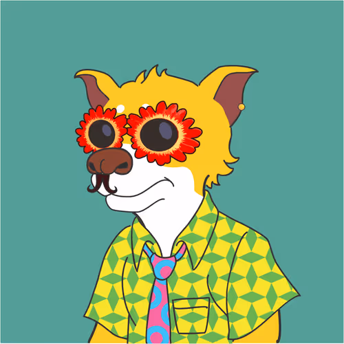Soccerdogeclub