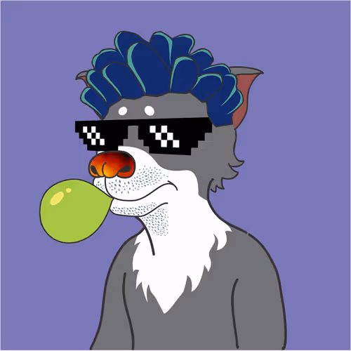 Soccerdogeclub