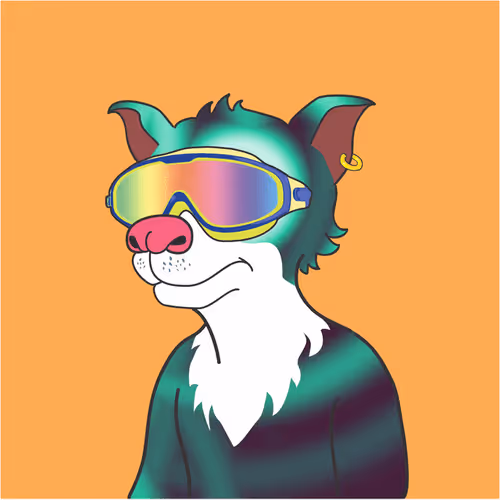 Soccerdogeclub