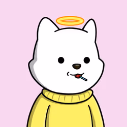334