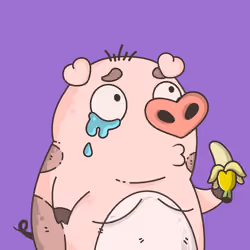 1117
