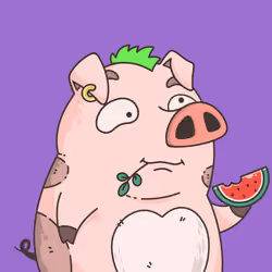 5206