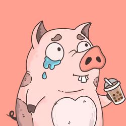 8081
