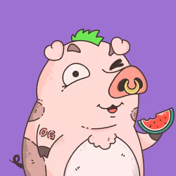 4048