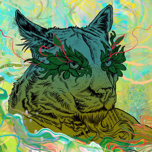 Mat Miller SC Bidder Airdrop