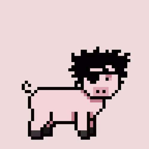 Zunkpets