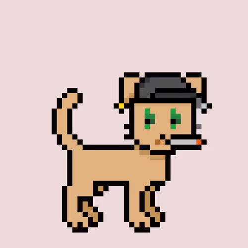 Zunkpets