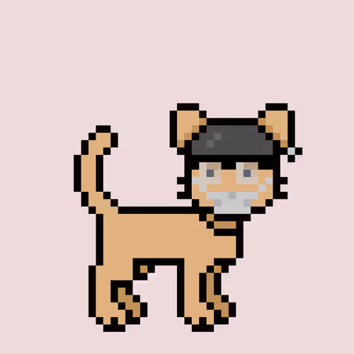 Zunkpets