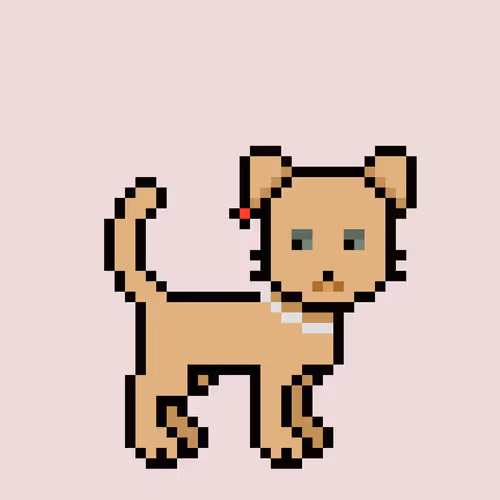 Zunkpets