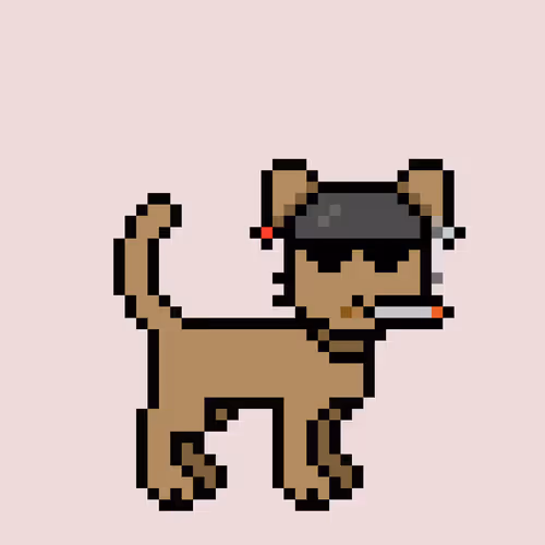 Zunkpets