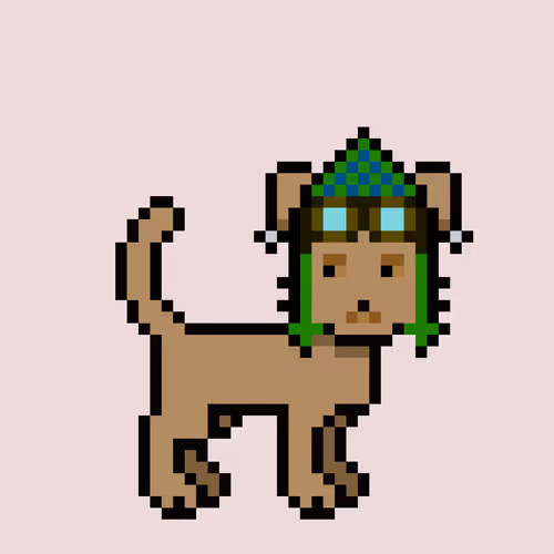 Zunkpets