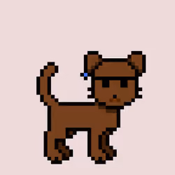 Zpet 18014