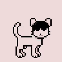 Zpet 11136