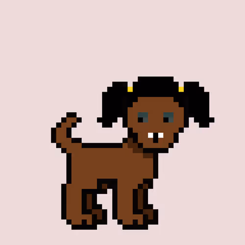 Zunkpets