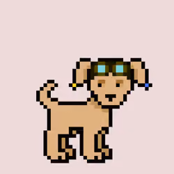 Zpet 11319