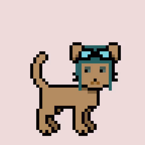 Zunkpets