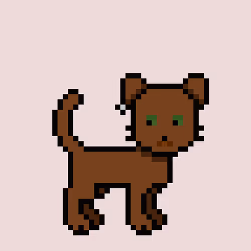 Zunkpets