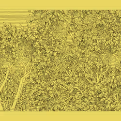 Entangled #454