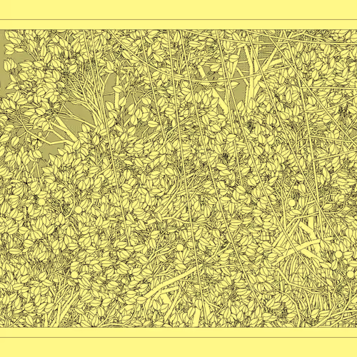 Entangled #487