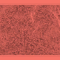 Entangled #121
