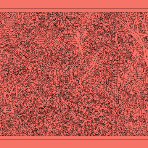 Entangled #121