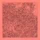Entangled #45