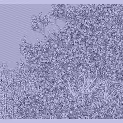 Entangled #412