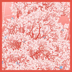 Entangled #336